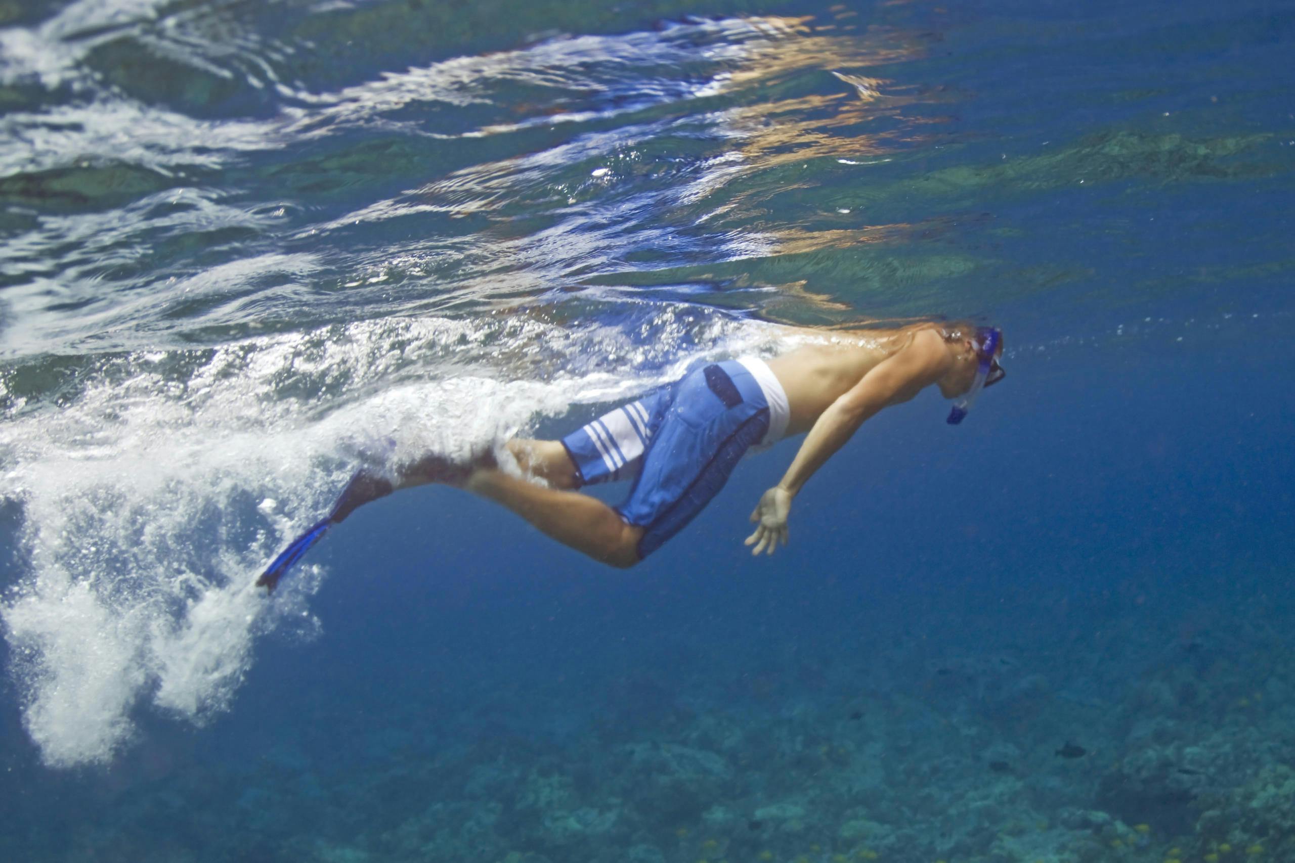 Baía de Kealakekua e Capitão Cook: Aventura de mergulho com snorkel - Photo 2