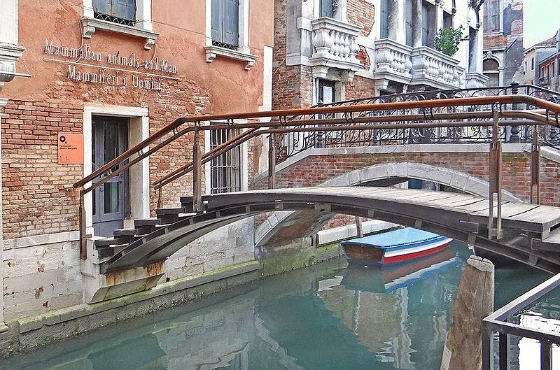 一座拱形的木桥横跨威尼斯一条狭窄的运河，蓝色和红色的船停泊在下面的水中。