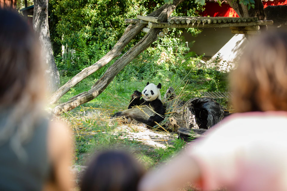 Madrid Zoo