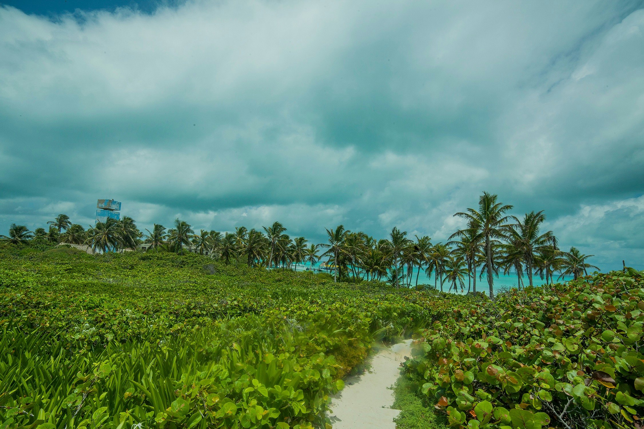 Isla Contoy & Isla Mujeres: Boat and Snorkel Tour from Cancún