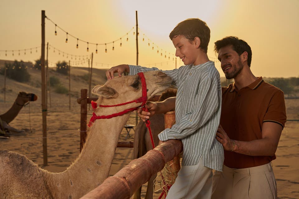 A man and a boy pet a camel at sunset, with festival lights in the background.