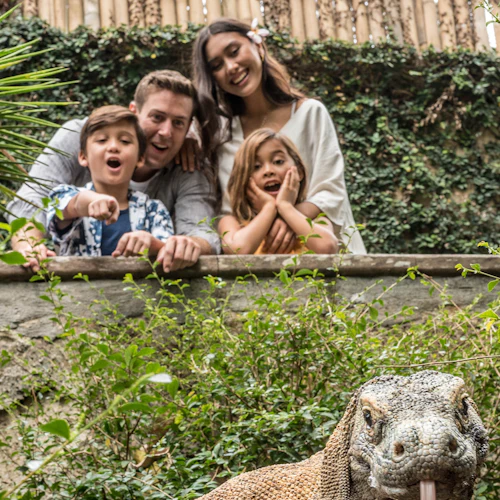 Bali Bird Park: Admission Ticket