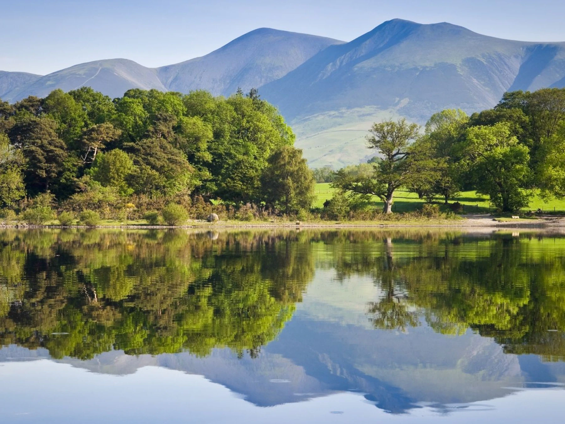 Lake District: Tagesausflug + Bootstour ab London mit Cream Tea