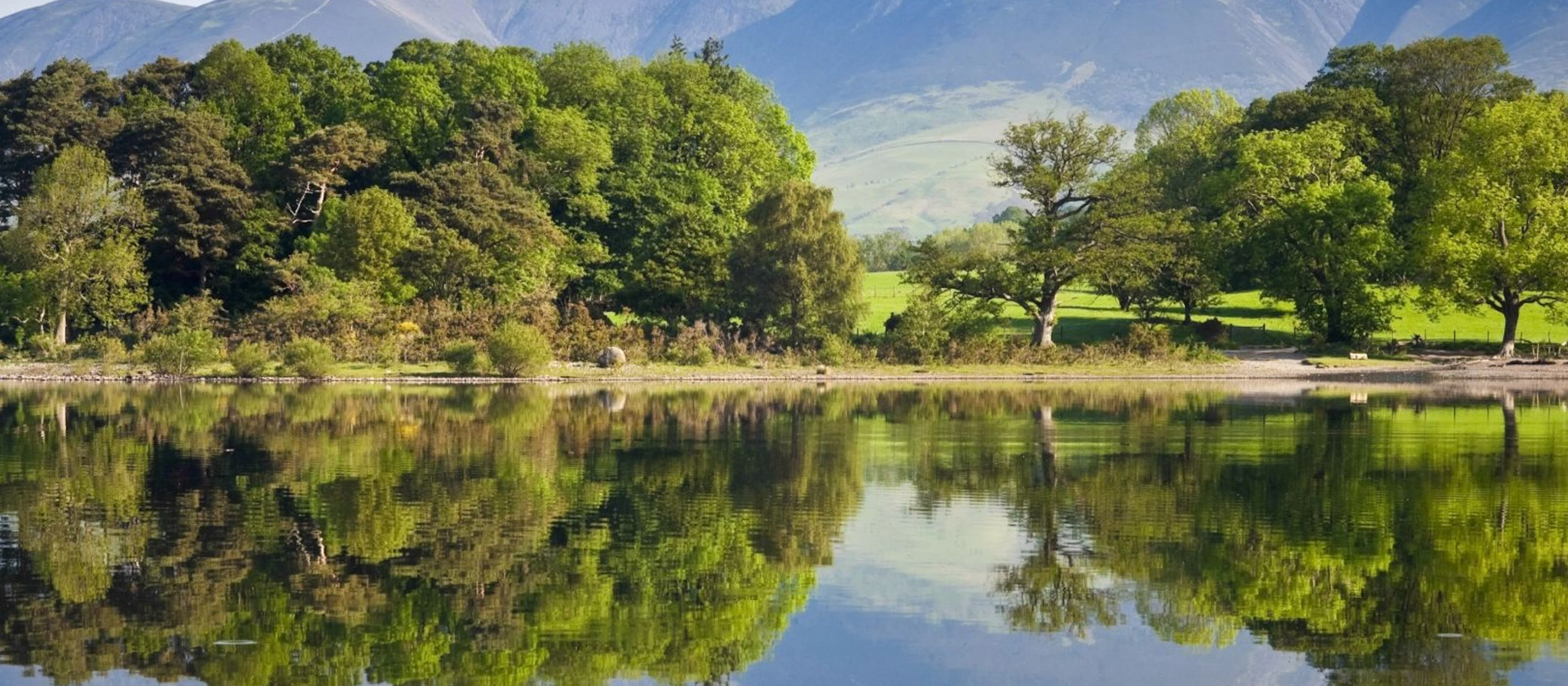 Lake District: Tagesausflug + Bootstour ab London mit Cream Tea