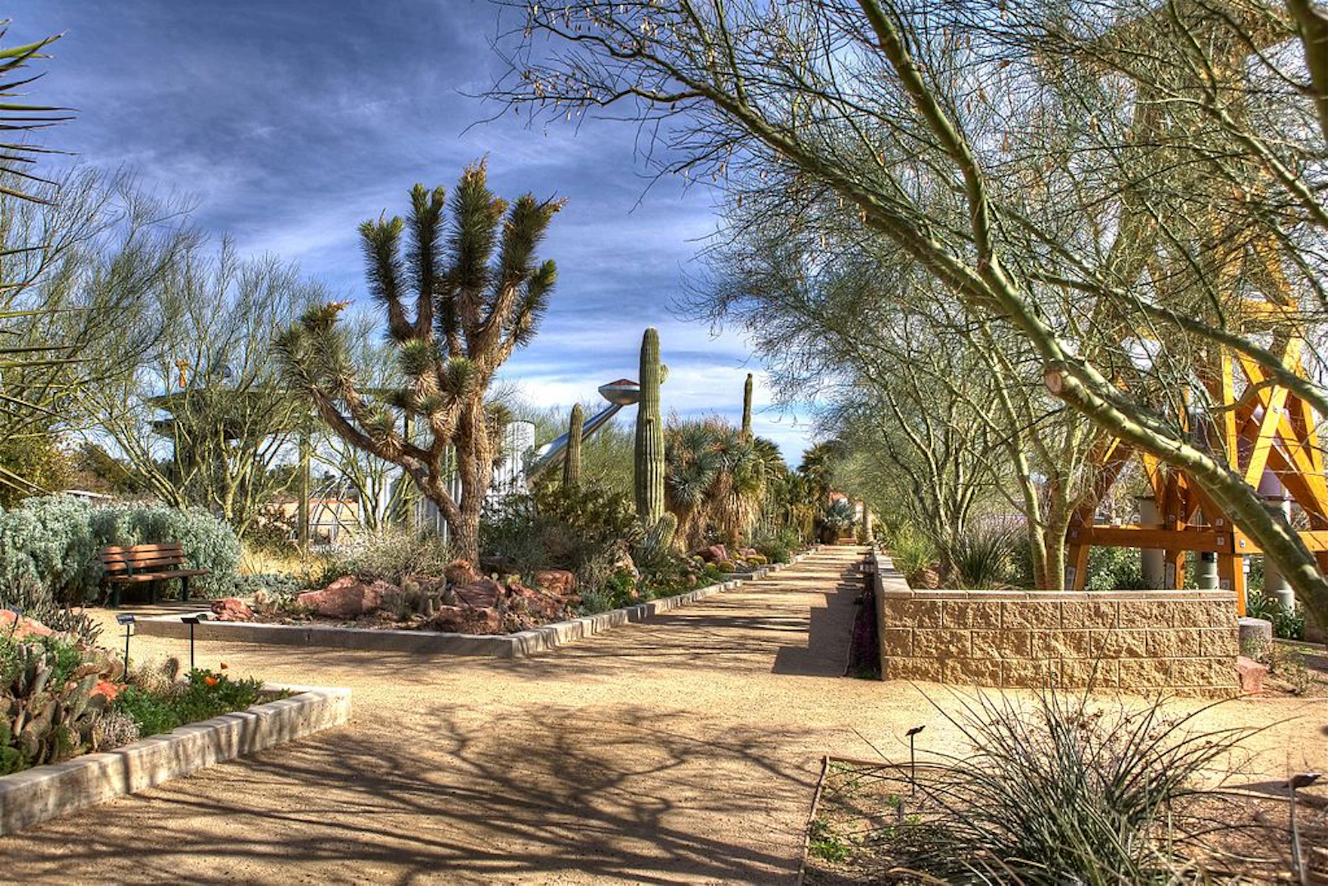 A desert garden path lined with cacti and trees under a partly cloudy sky.