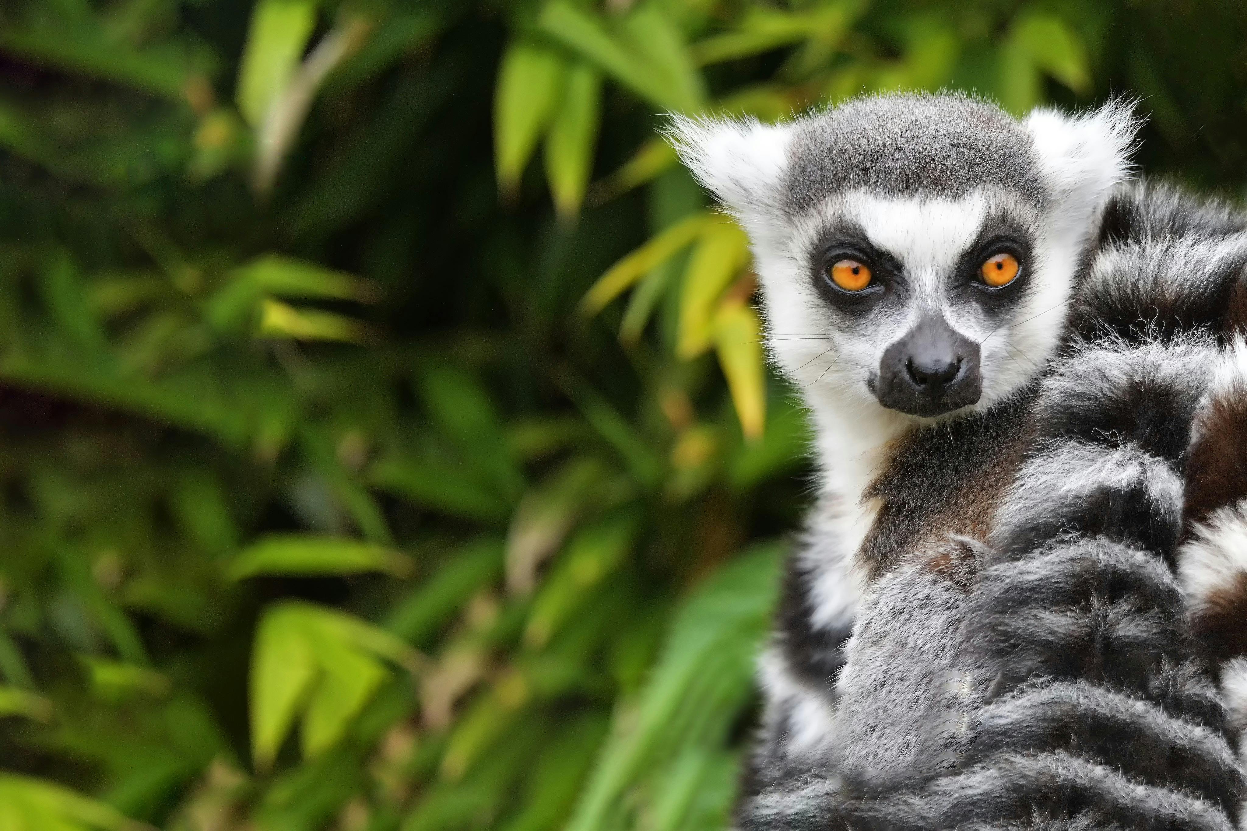 自然野生动物园