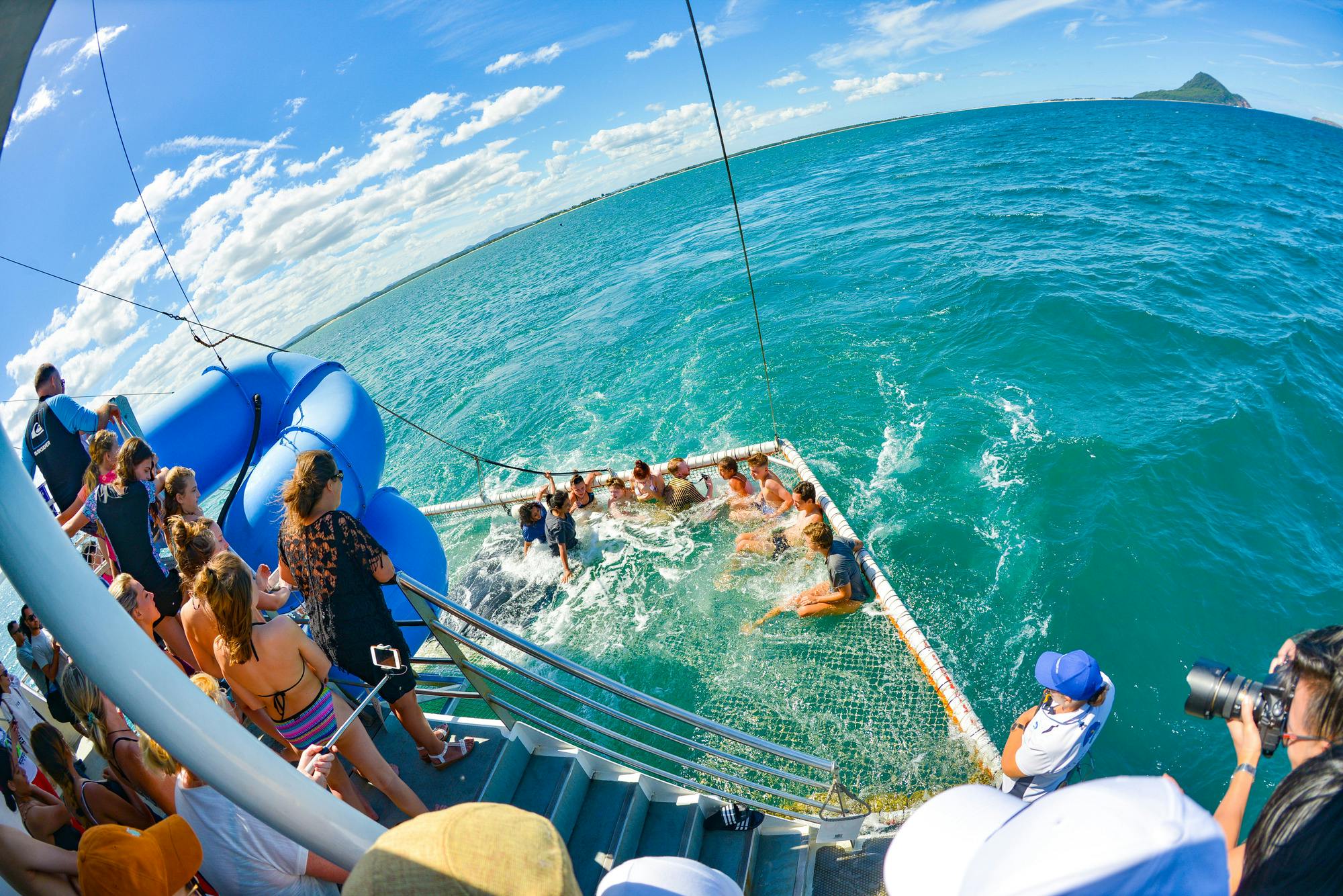 Port Stephens: Dolphin Discovery Cruise