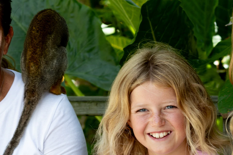 monkey interaction