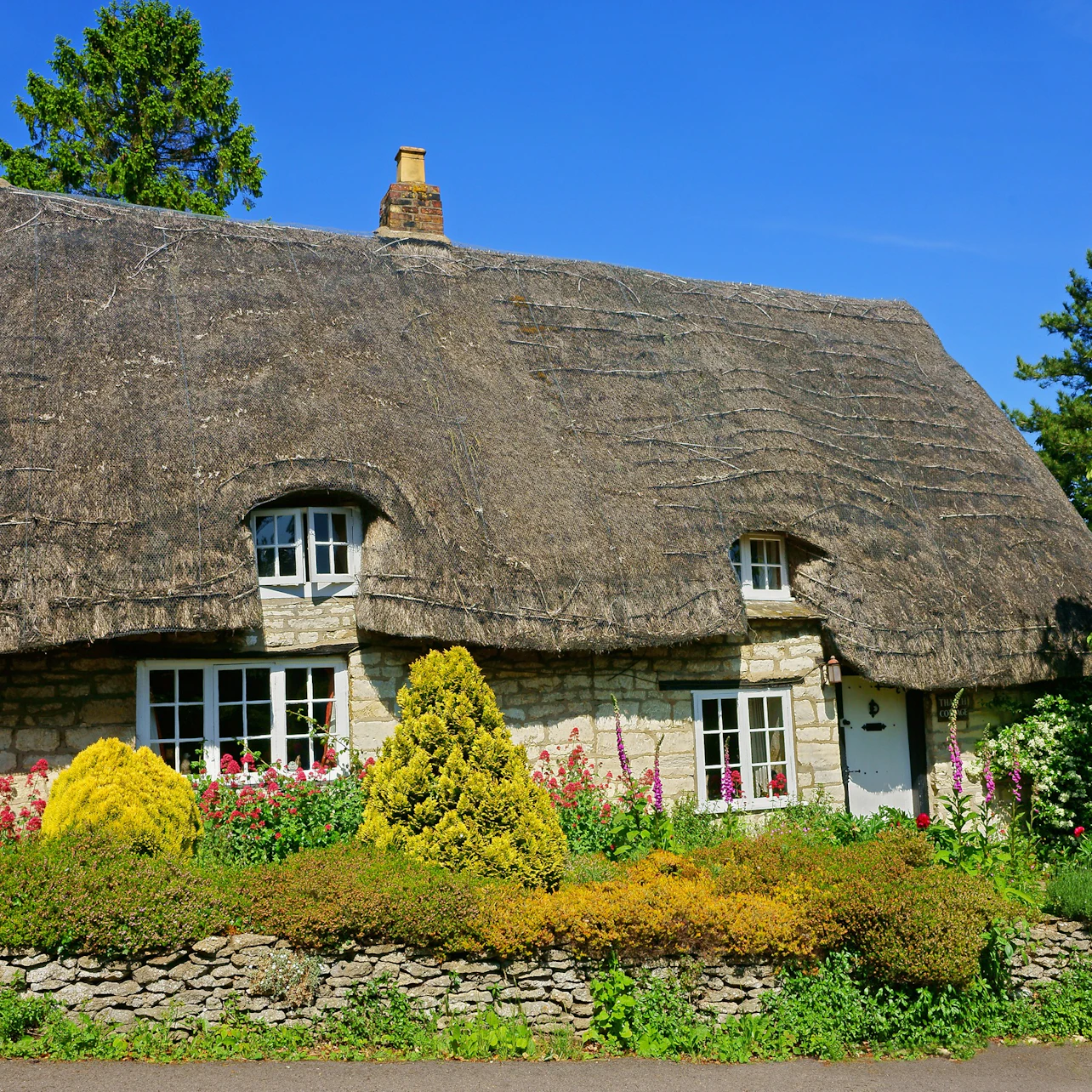 Slider Image