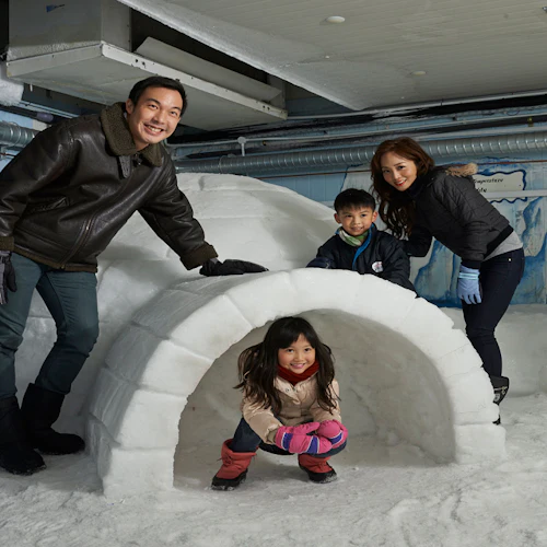 Snow City Singapore: Entry Ticket - Photo 4