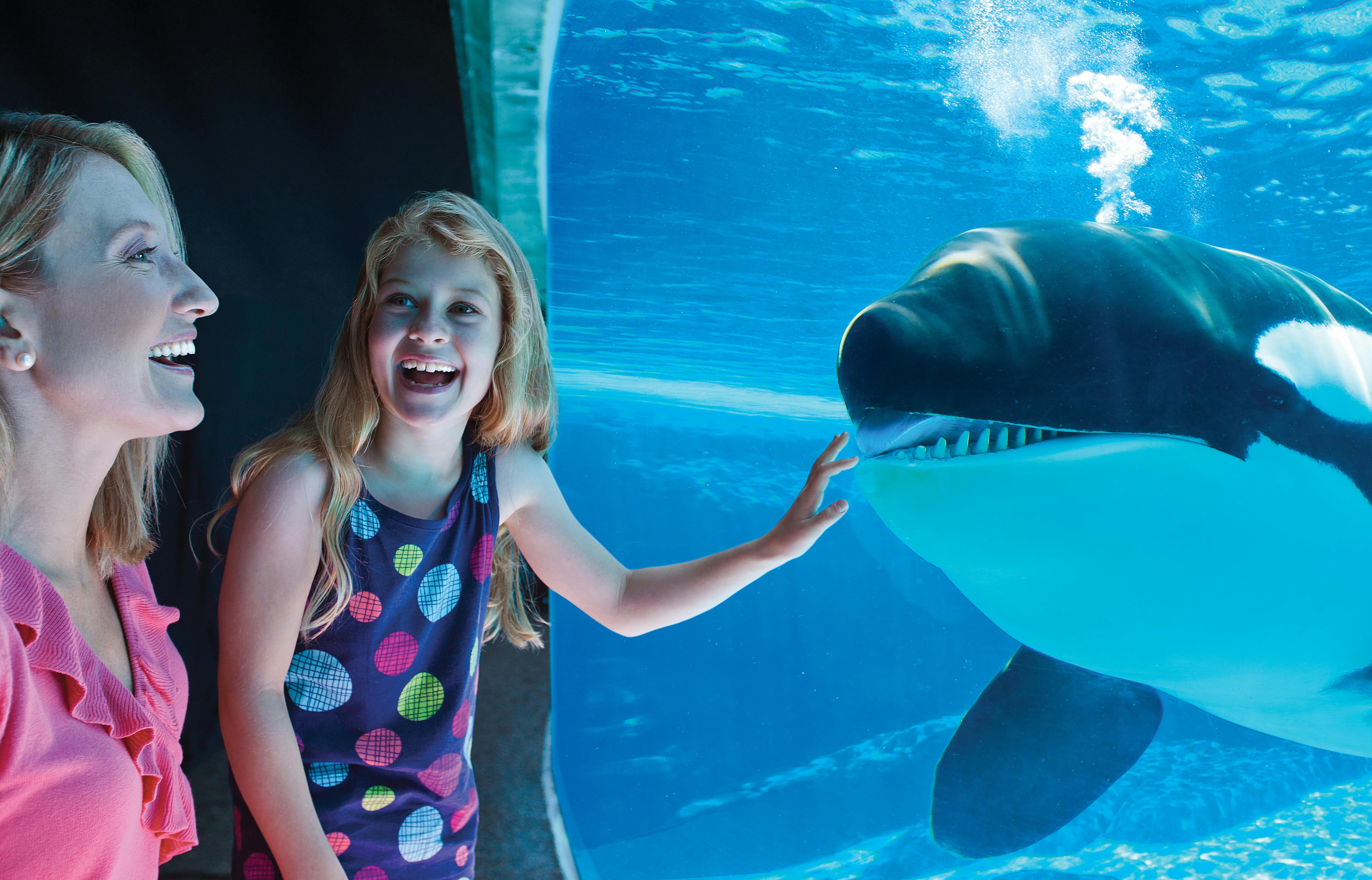 Μια γυναίκα και ένα νεαρό κορίτσι χαμογελούν και κοιτάζουν ένα μεγάλο παράθυρο ενυδρείου, με το κορίτσι να δείχνει κάτι στο νερό.