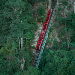 Blue Mountains & Sydney Zoo: Small-Group Guided Tour from Sydney 3