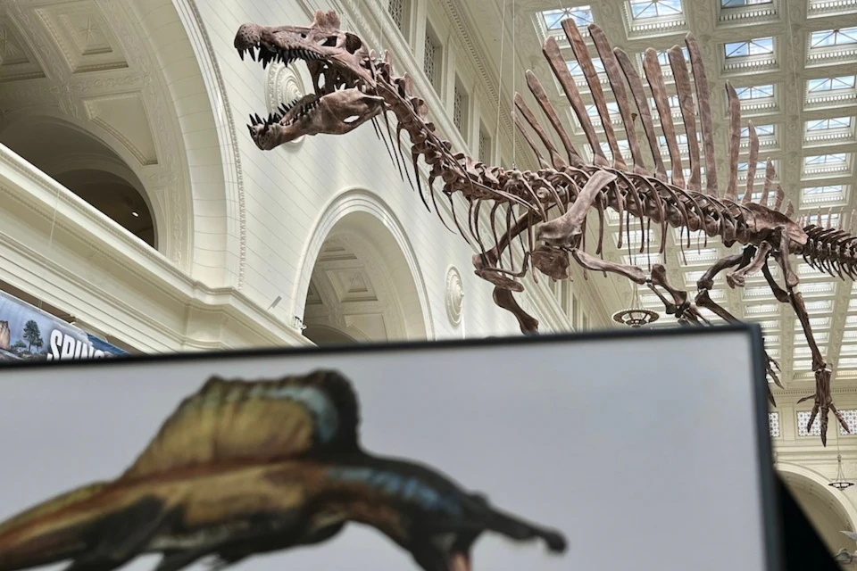 Field Museum
