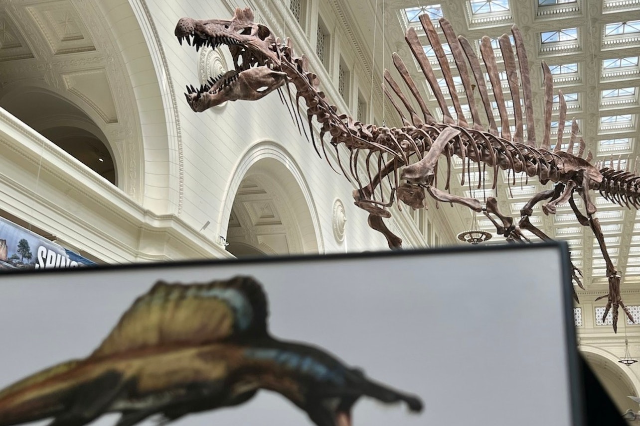 Museu Field de História Natural: acesso antecipado + tour guiado + exposições - Acomodações em Chicago