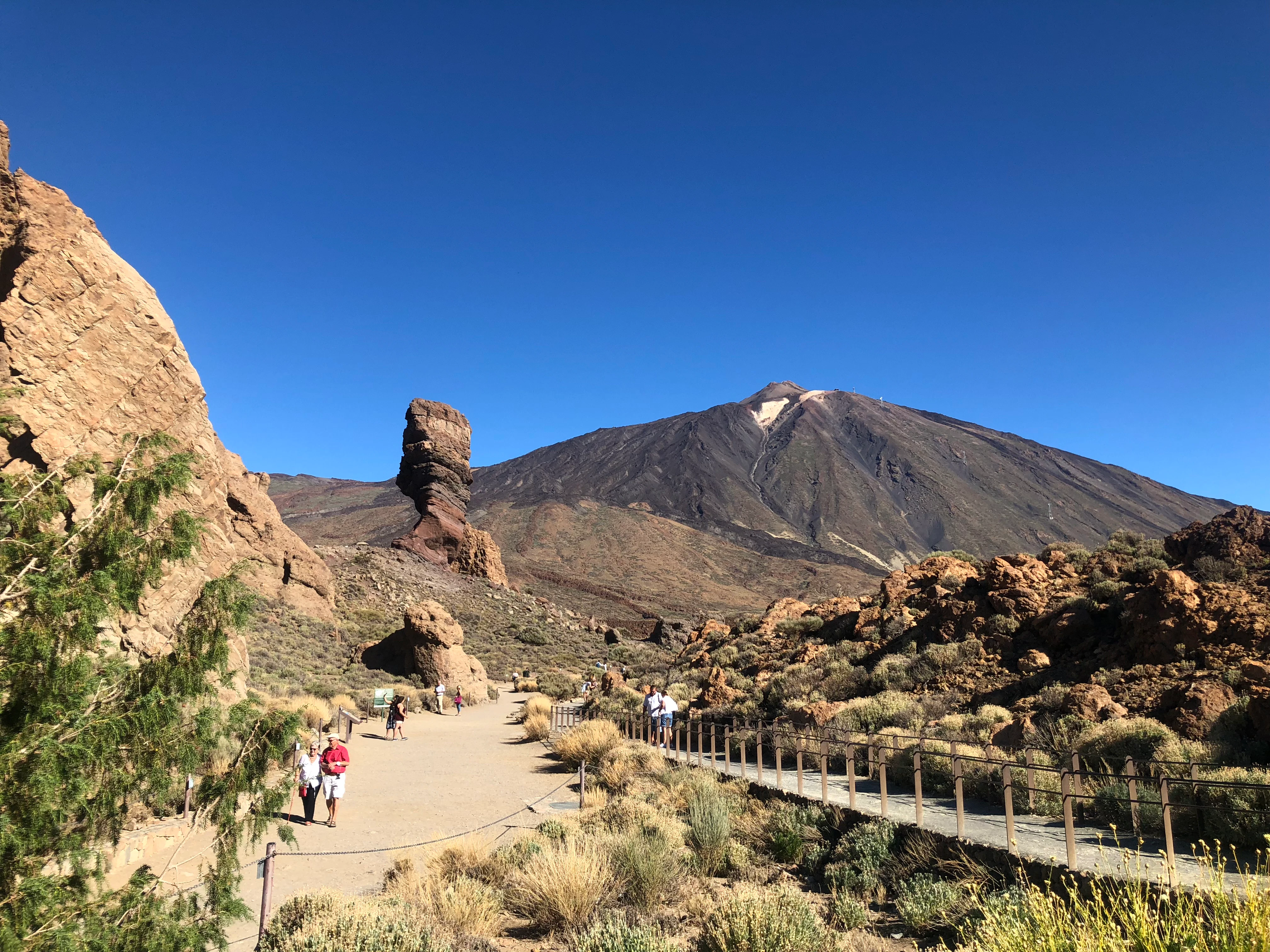 Teide National Park, Icod de los Vinos, Garachico & Masca: Guided Tour