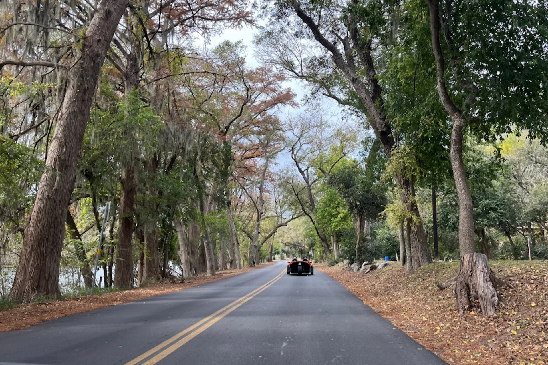 A road lined with trees featuring autumn foliage, with a vehicle driving along the center of the two-lane road.