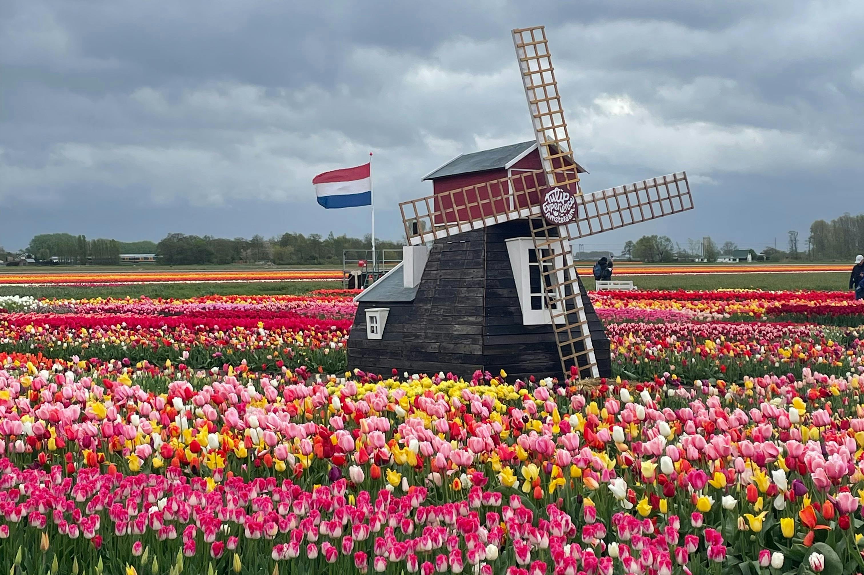 Keukenhof Flower Fields SmallGroup Cultural Bike Tour