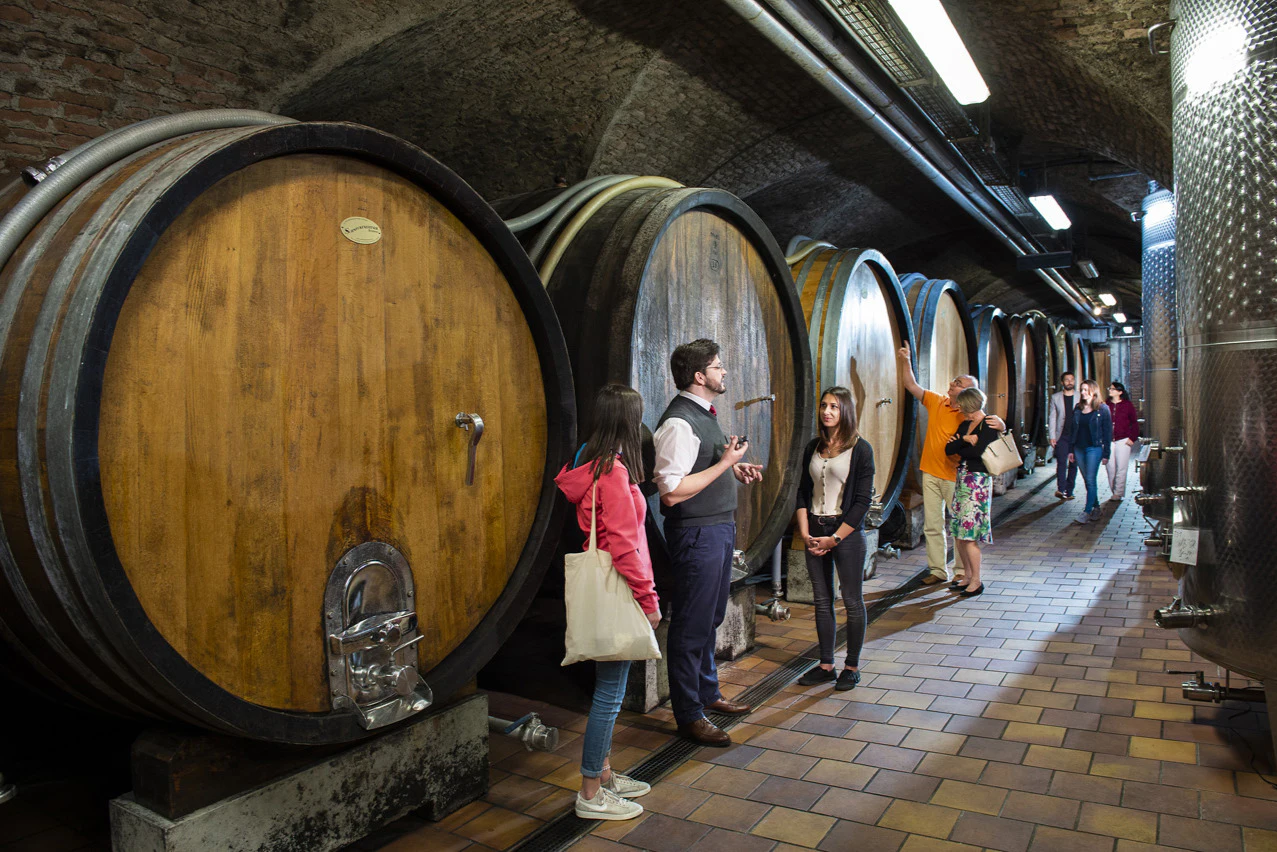 Klosterneuburg Abbey: Wine and Tasting Tour from Vienna by E-Bike