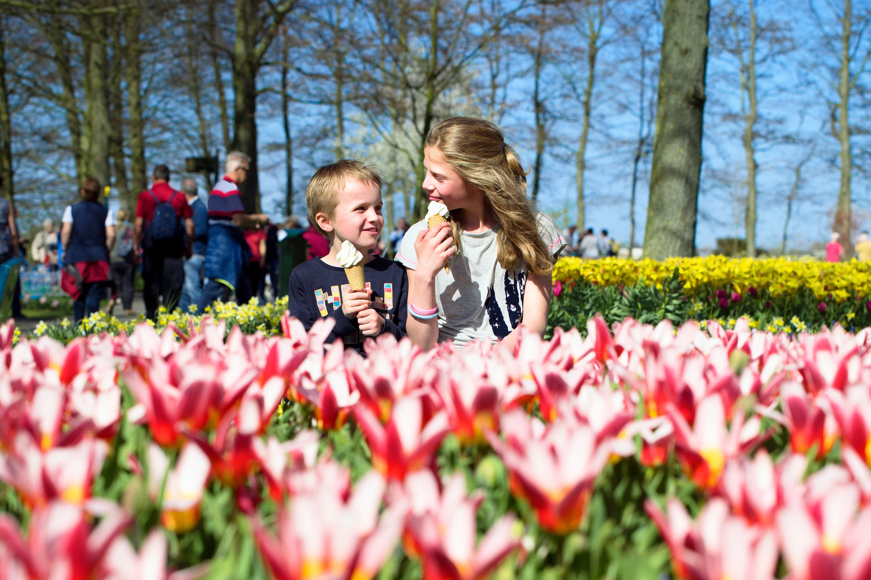 Keukenhof: Entry + Roundtrip Bus Transfer from Rotterdam