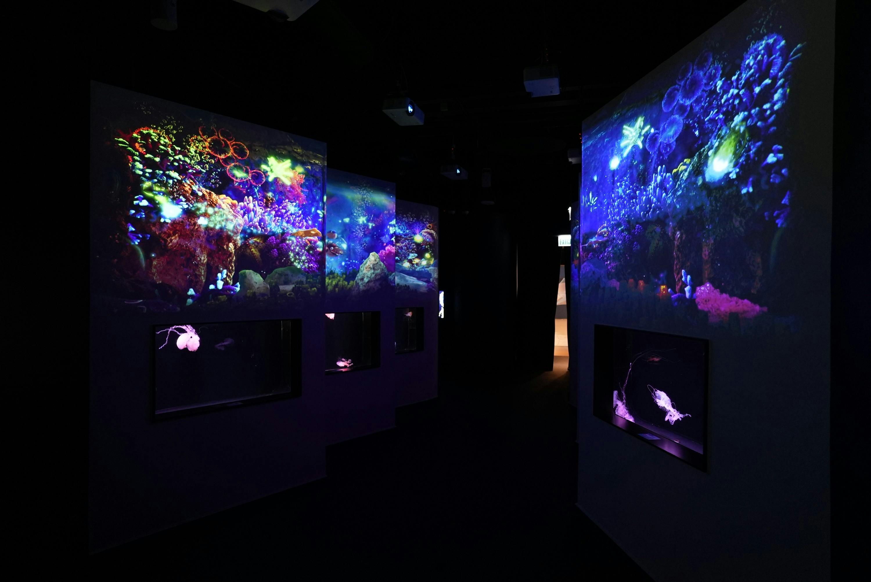 Cube O Discovery Park Hong Kong: Marine Exploration Tour + Science Education Day Pass in Hong Kong – Tiqets
