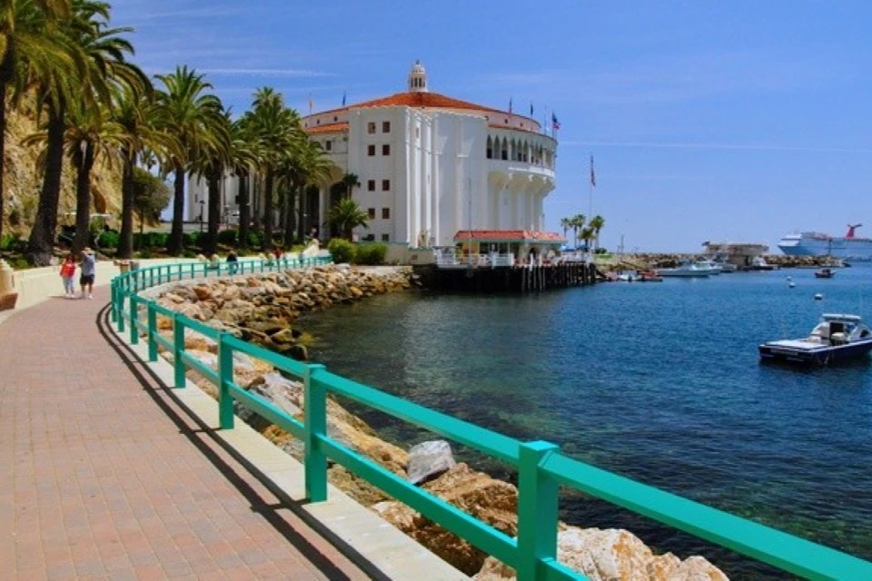 Catalina Island Day Trip with Discover Avalon Scenic Driving Tour