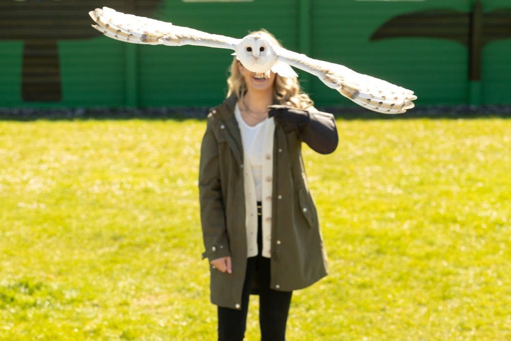 Excursión a los acantilados de Moher y a Galway  desde Dublín con paseo en barco