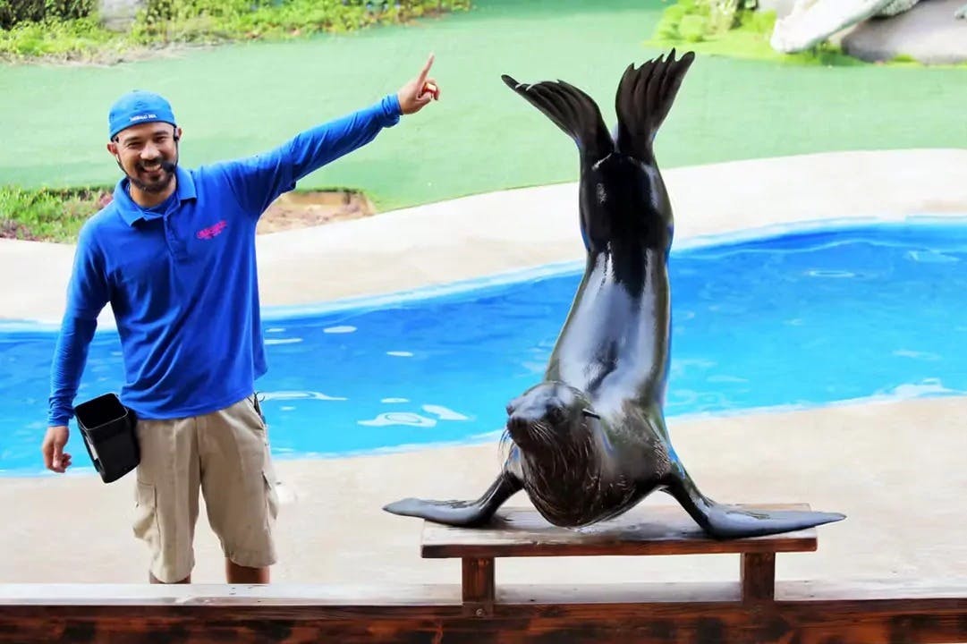 エミレーツ・パーク動物園