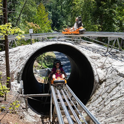 Rocky Top Mountain Coaster: bilhete de entrada - Photo 7