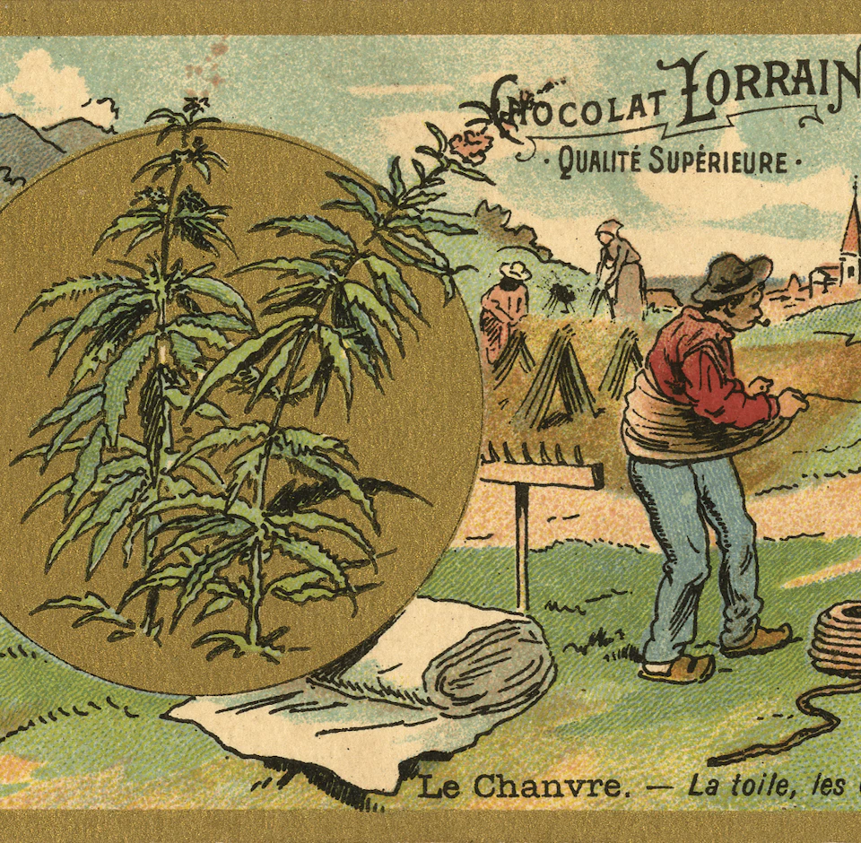 A vintage illustration showing a farmer working in a field with a large hemp plant in focus. Text reads "Chocolat Lorrain" and "Le Chanvre."
