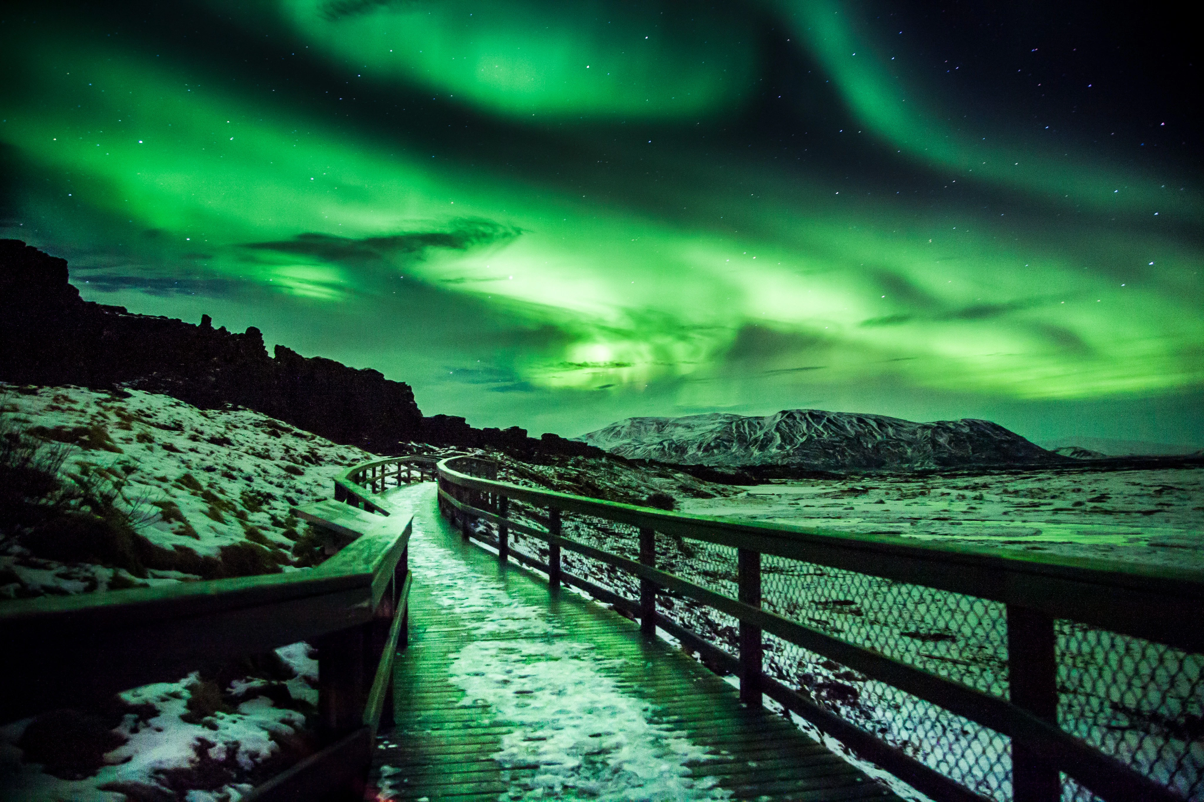 Reykjavík: Northern Lights Bus Tour