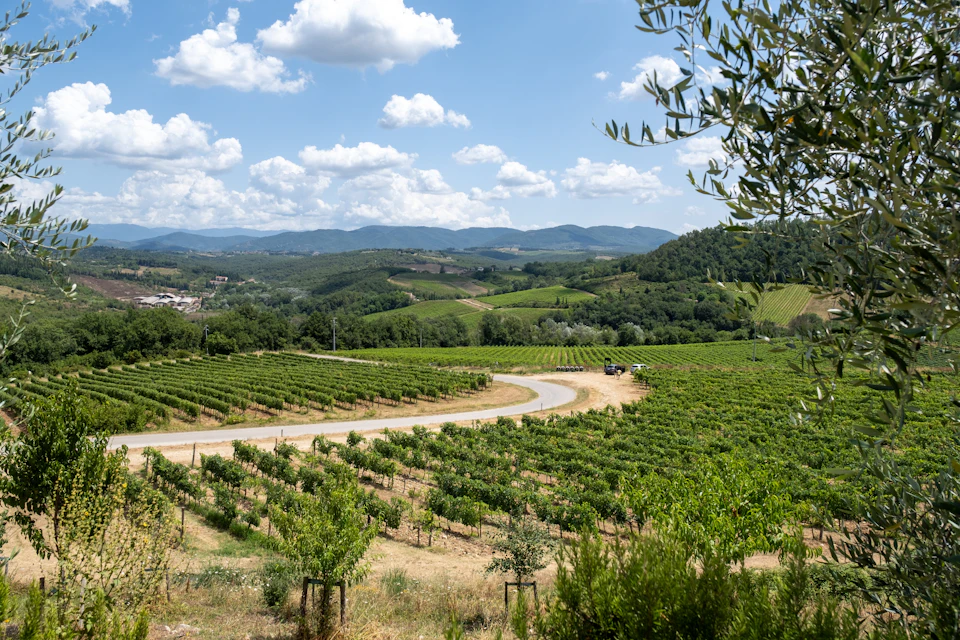 Chianti hills