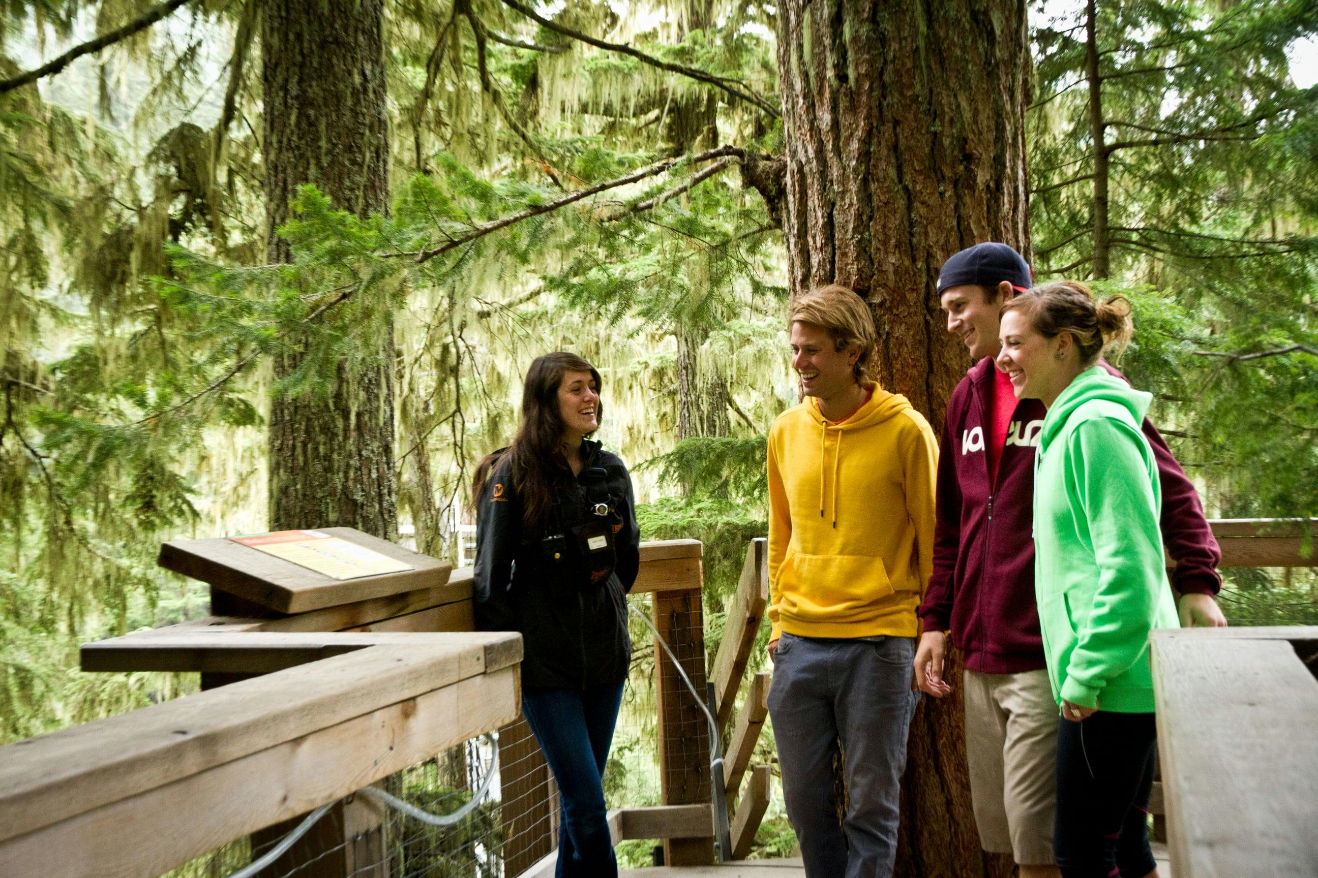 Four people in casual hoodies stand on a wooden platform in a dense forest, laughing and chatting near an information board.