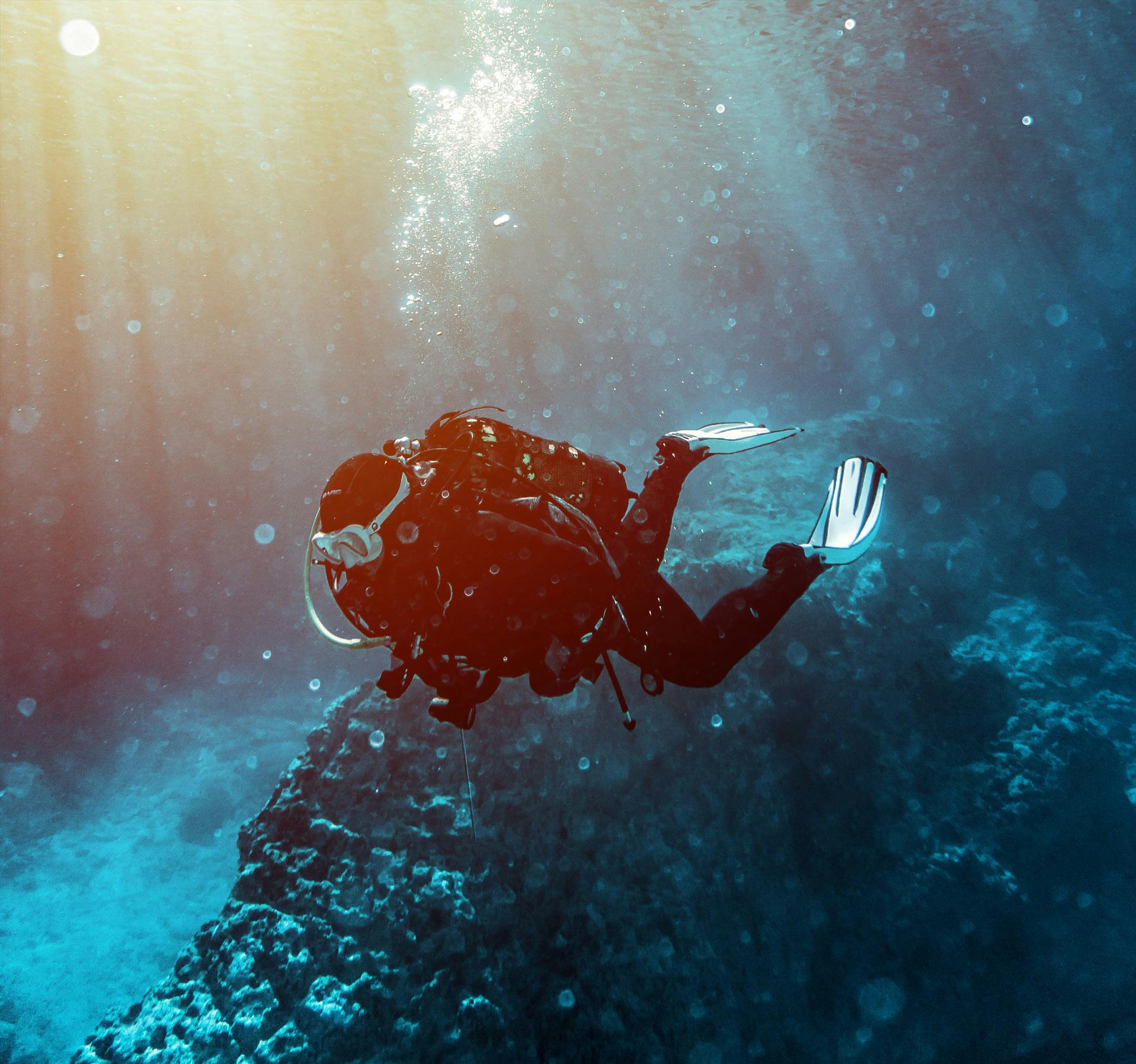 흰 지느러미를 가진 다이버가 산호초 근처에서 물속을 헤엄치고 있으며, 햇빛이 위쪽의 물을 통해 흐르고 있습니다.