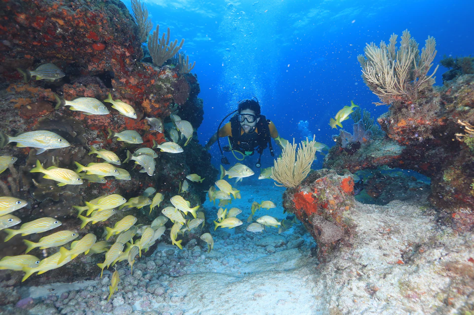 Manchones Reef