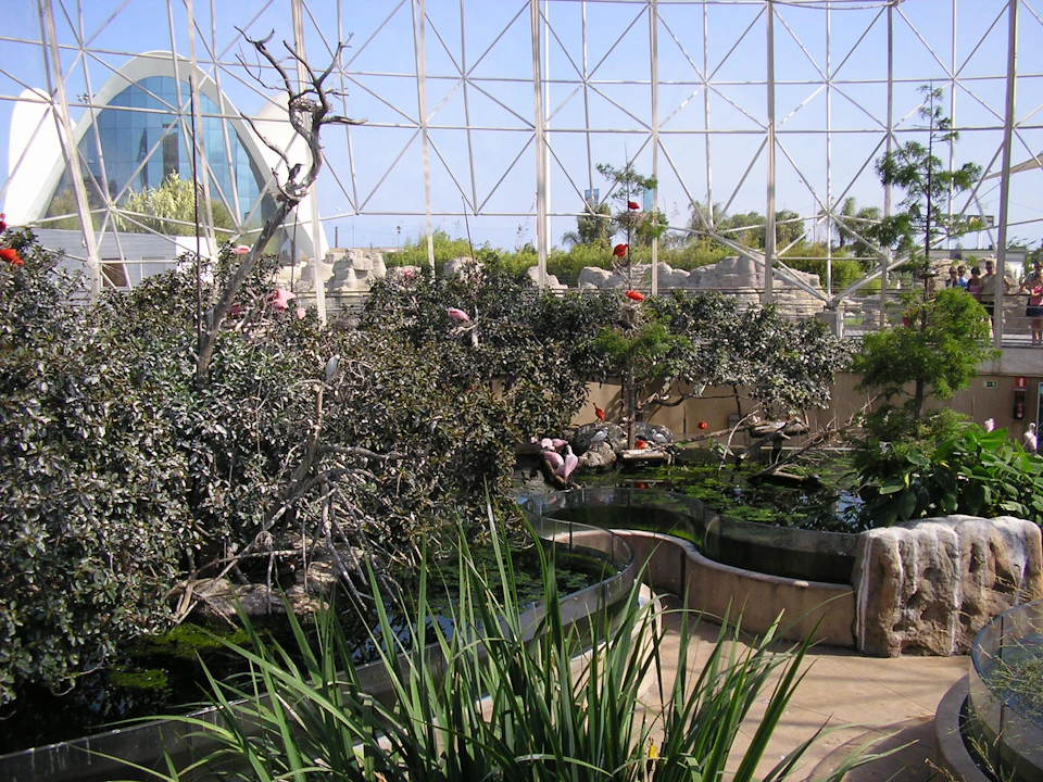 An indoor habitat with flamingos, water features, rocks, and plants, enclosed by a glass structure with a triangular design.