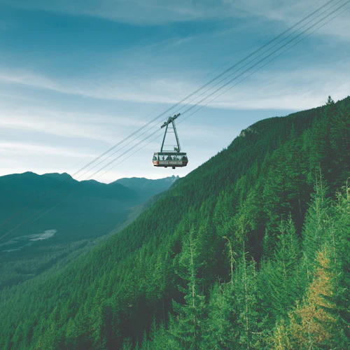 Grouse Mountain & Capilano Suspension Bridge Park: Guided Tour - Photo 8