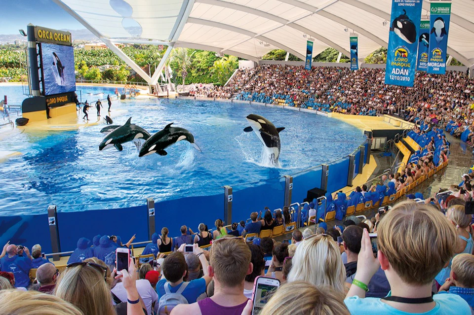 Loro Parque