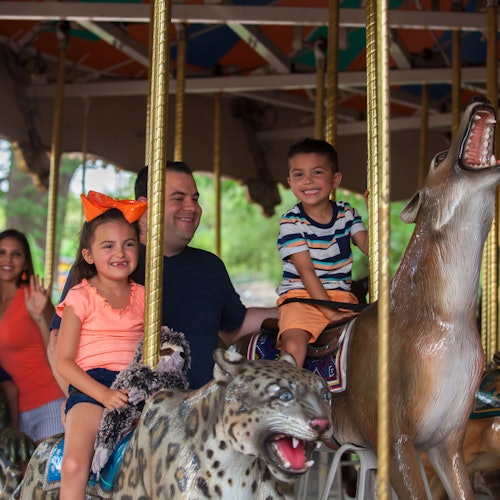 Zoo de San Antonio: Entrada flexible cualquier día
