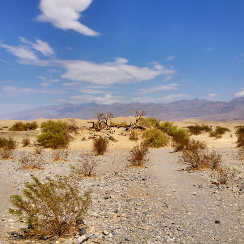 Ghost Town Explorer: excursão de 1 dia desde Las Vegas - Photo 2