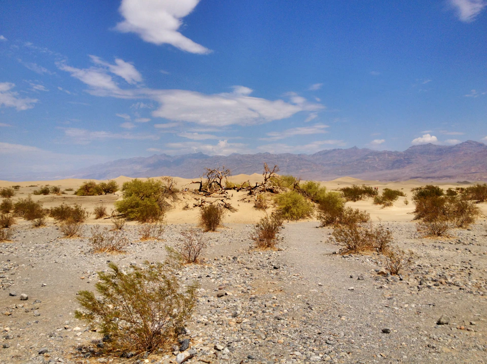 Desert landscape with sparse shrubs and dead trees under a blue sky with scattered clouds. Mountains are visible in the background.