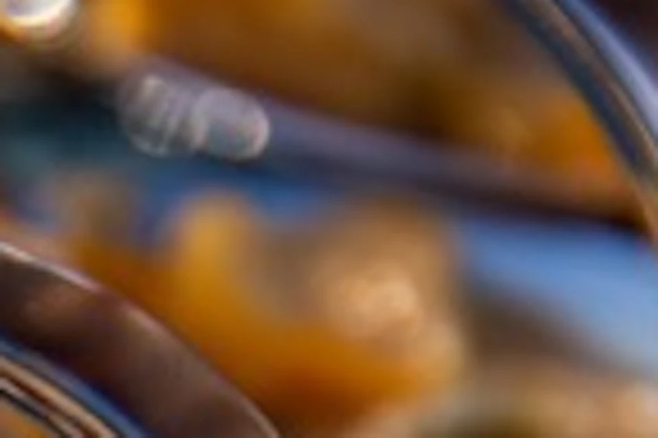 Canned seafood