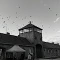 Campo de Birkenau