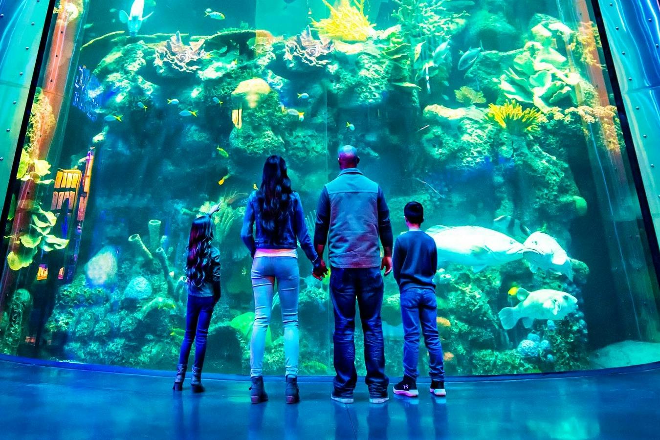 A family of four stands in front of a large aquarium tank, viewing colorful fish and coral in an underwater scene.
