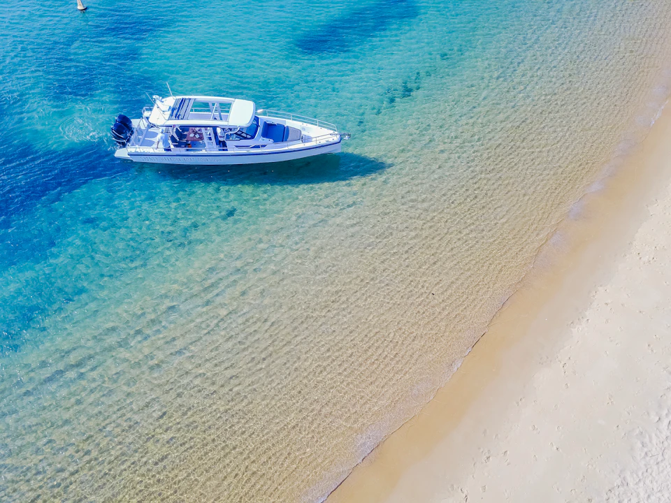 Sydney Harbour Boat Tours Vessel at Store Beach