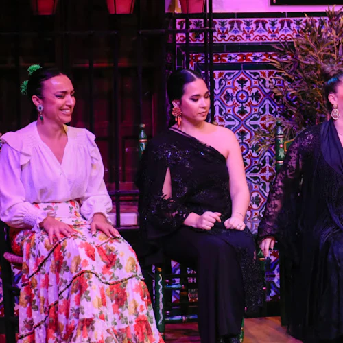 La Casa del Flamenco: Flamenco Show