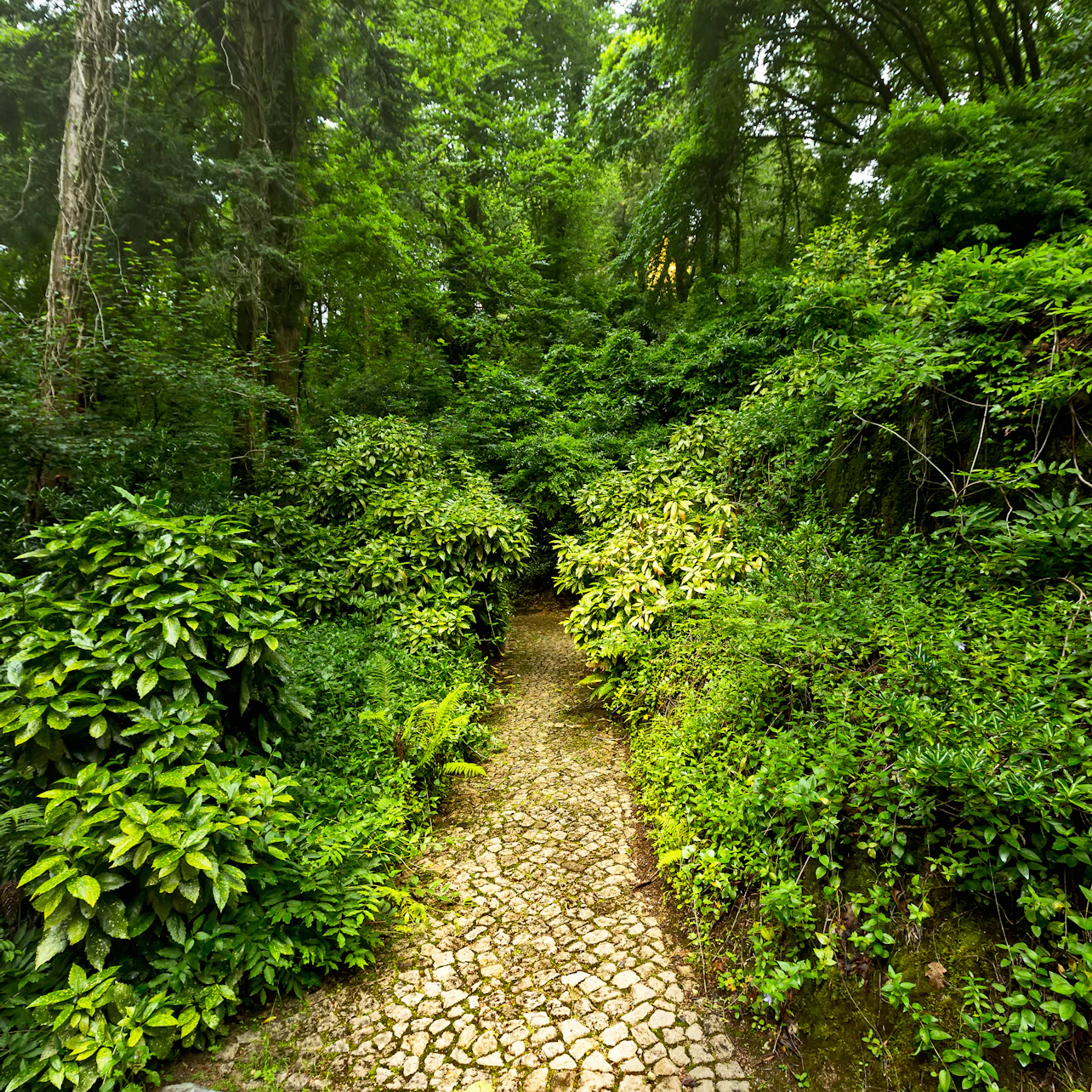 Pena Park in Sintra: Entry Ticket in Sintra β Tiqets