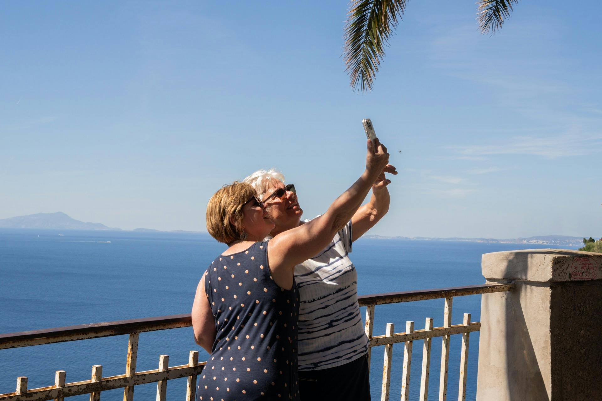 水域を見下ろす金属製のフェンスのそばに立っている2人の人物は、晴れた空の下で自撮りをし、ヤシの葉が見えるようにしています。