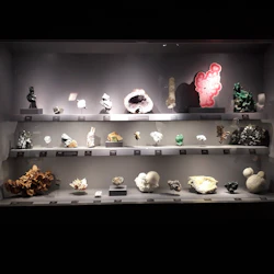 Glasfodral som visar olika mineral- och kristallprover, arrangerade på tre hyllor under dämpad belysning.