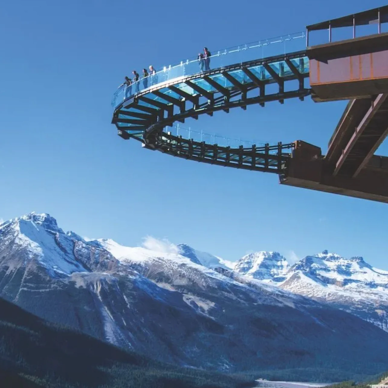 Columbia Icefield Tour