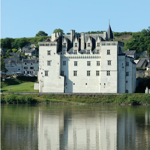 Château de Montsoreau – Museum of Contemporary Art - Photo 6